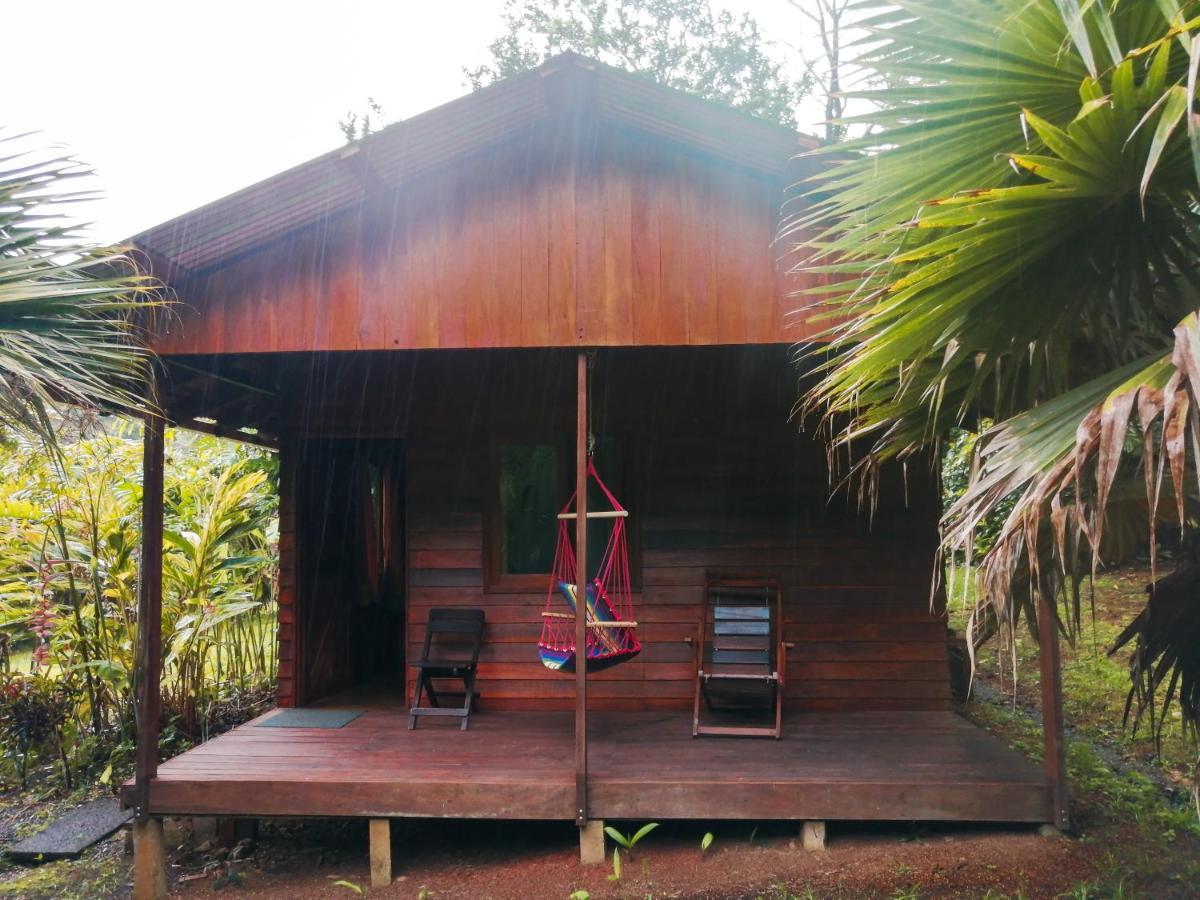 Cataratas Bijagua Lodge, Incluye Tour Autoguiado Bijagua Waterfalls Hike Exterior foto