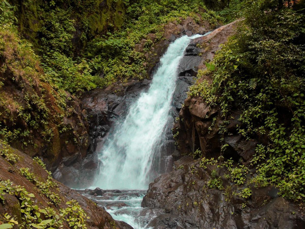 Cataratas Bijagua Lodge, Incluye Tour Autoguiado Bijagua Waterfalls Hike Exterior foto