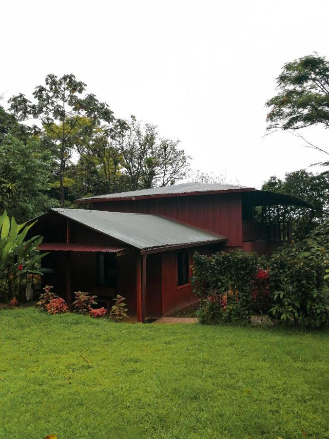 Cataratas Bijagua Lodge, Incluye Tour Autoguiado Bijagua Waterfalls Hike Exterior foto