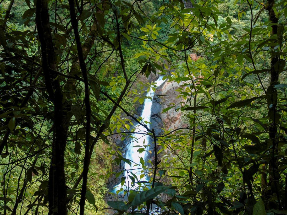 Cataratas Bijagua Lodge, Incluye Tour Autoguiado Bijagua Waterfalls Hike Exterior foto