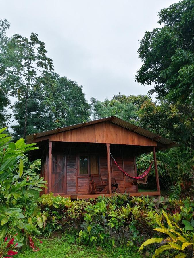 Cataratas Bijagua Lodge, Incluye Tour Autoguiado Bijagua Waterfalls Hike Exterior foto