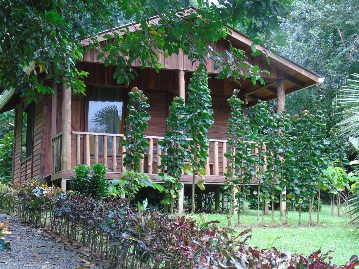 Cataratas Bijagua Lodge, Incluye Tour Autoguiado Bijagua Waterfalls Hike Exterior foto